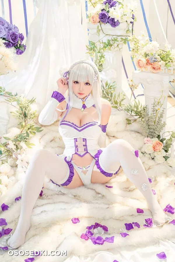 Hoshilily星之迟迟 - Emilia (Re:Zero) - 3