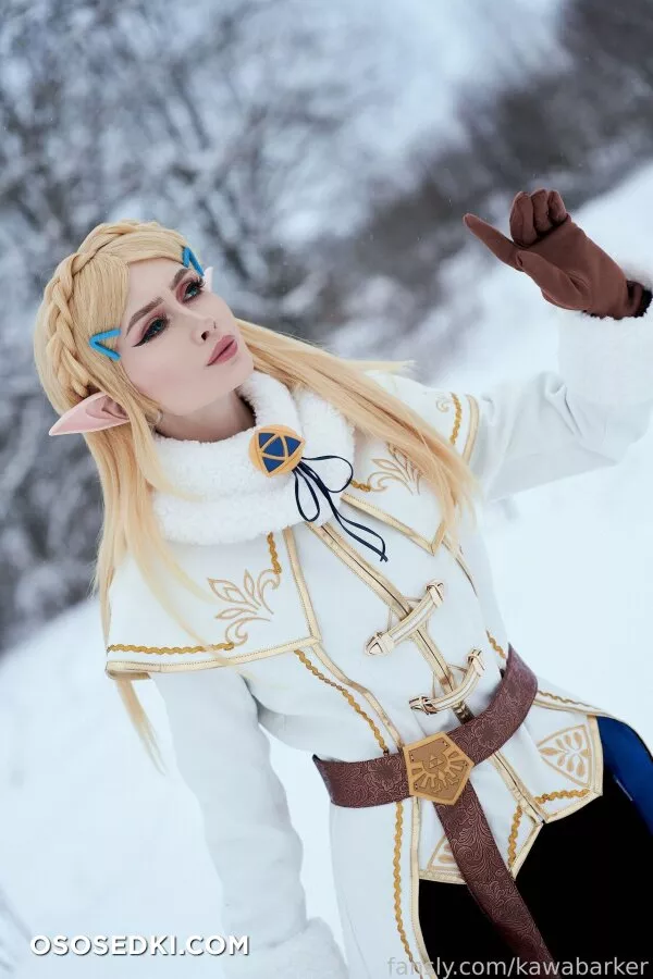 Zirael Rem - Princess Zelda - The Legend Of Zelda - 2