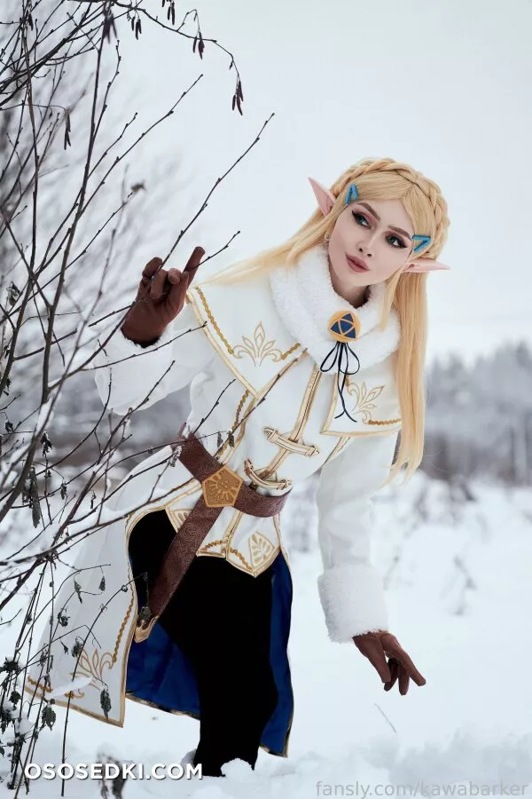 Zirael Rem - Princess Zelda - The Legend Of Zelda - 3