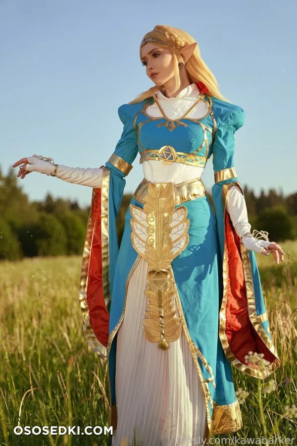Zirael Rem - Princess Zelda - The Legend Of Zelda - 5