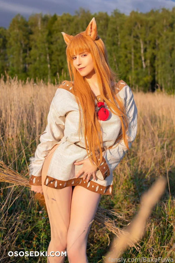 Baka Fuwa - Holo - Spice And Wolf | Ookami To Koushinryou - 5