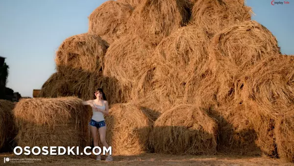 Fantasy Factory - 小丁 (Xiao Ding) - Hay Bales - 2