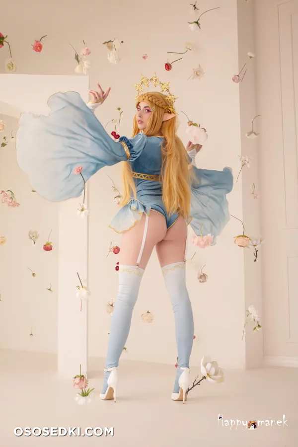 Happy Manek - Princess Zelda - The Legend Of Zelda - 2