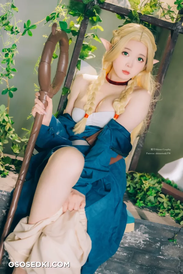 Shimotsuki - Marcille Donato - Dungeon Meshi - 5