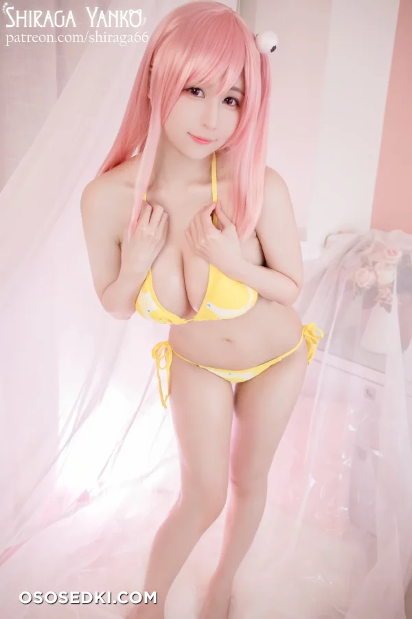 Shiraga Yanko - Honoka - Dead Or Alive - 2