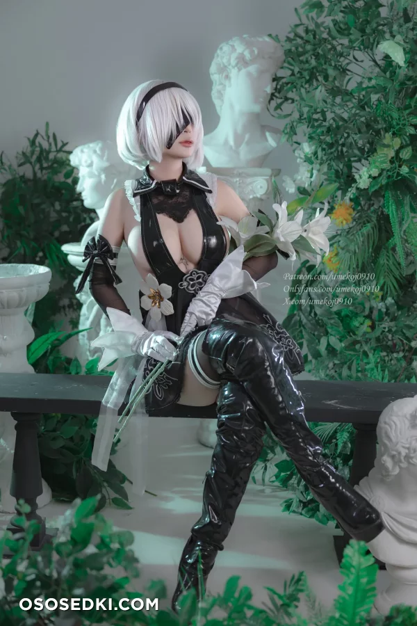 Umeko J - 2b - Nier Automata - 2