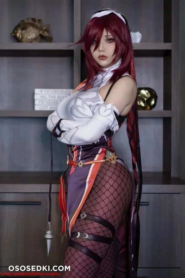 Hana Bunny - Rosaria Genshin Impact - 2