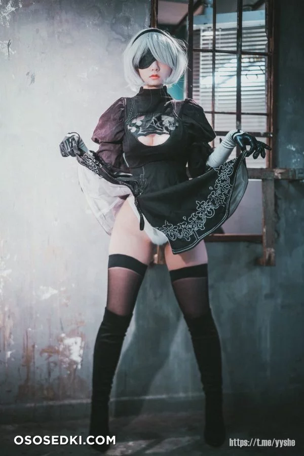 Jenny (정제니) - NieR Automata 2B - 2