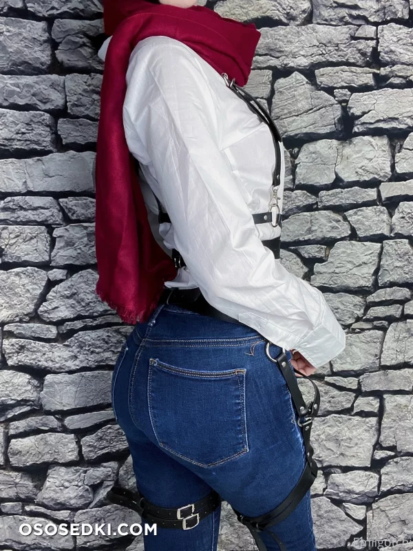 Emiigotchi - Mikasa Ackerman - Shingeki No Kyojin  Attack On Titan - 4