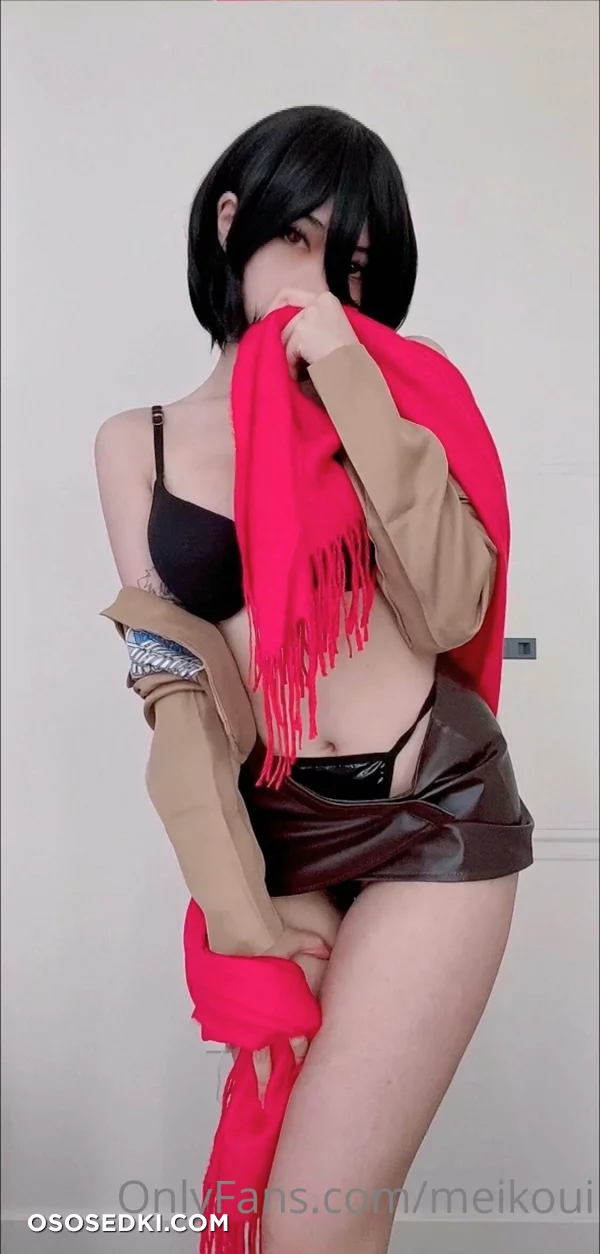 Meikoui - Mikasa Ackerman - Shingeki No Kyojin  Attack On Titan - 2