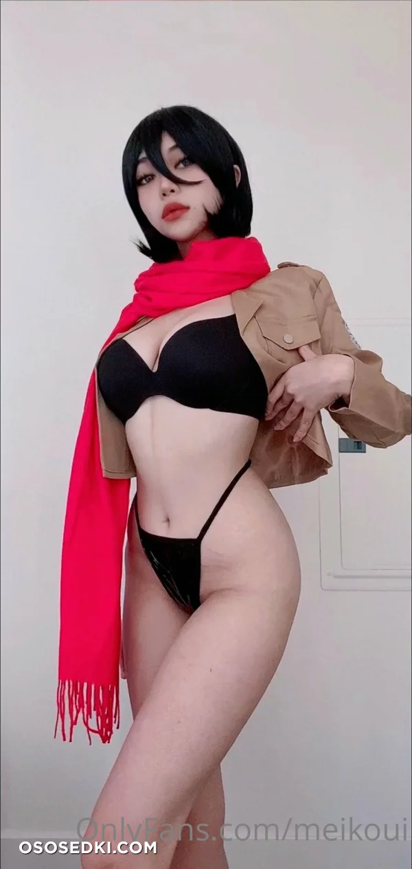 Meikoui - Mikasa Ackerman - Shingeki No Kyojin  Attack On Titan - 3
