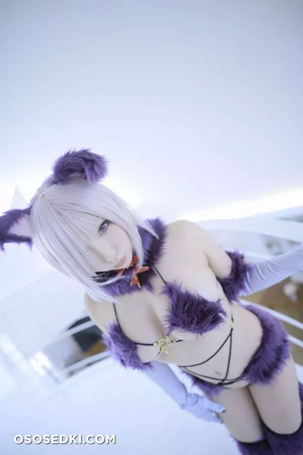 【Fate Grand Order】 Shielder | Mash Kyrielight - 3