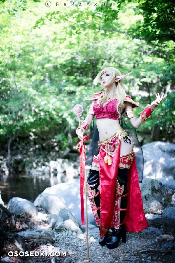 Blood Elf Priest (World of Warcraft) - 4