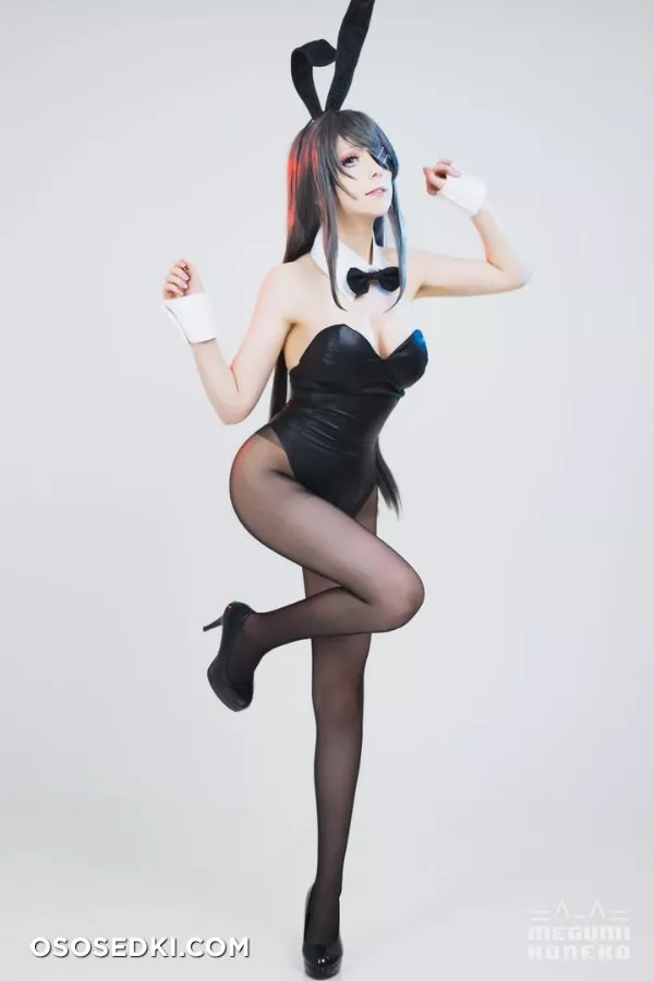 Megumi Koneko - Sakurajima Mai - 3
