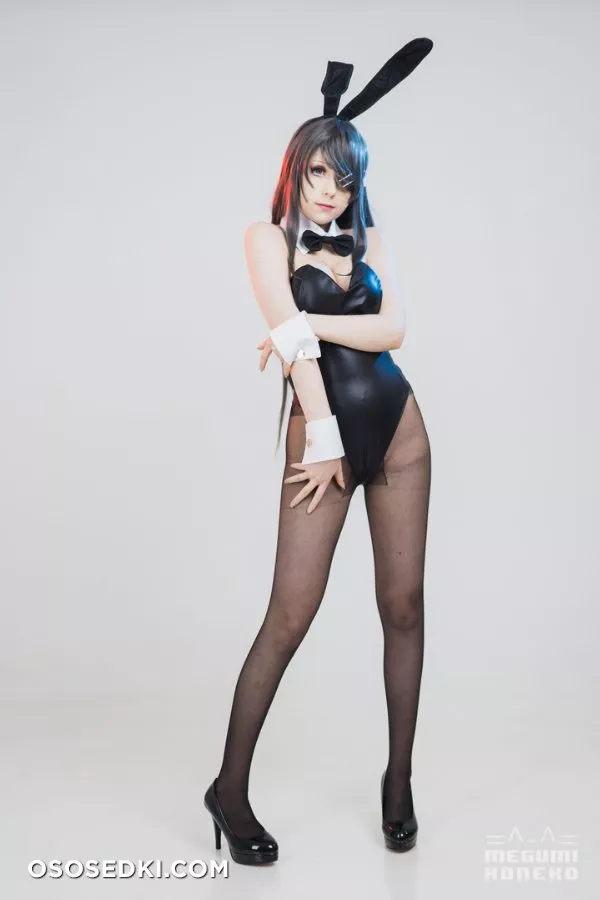 Megumi Koneko - Sakurajima Mai - 4