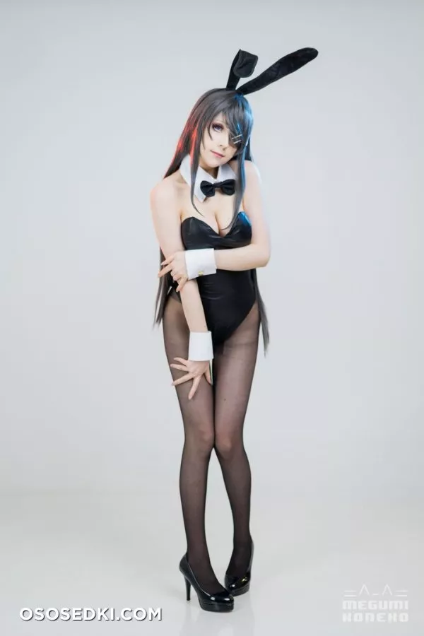 Megumi Koneko - Sakurajima Mai - 5