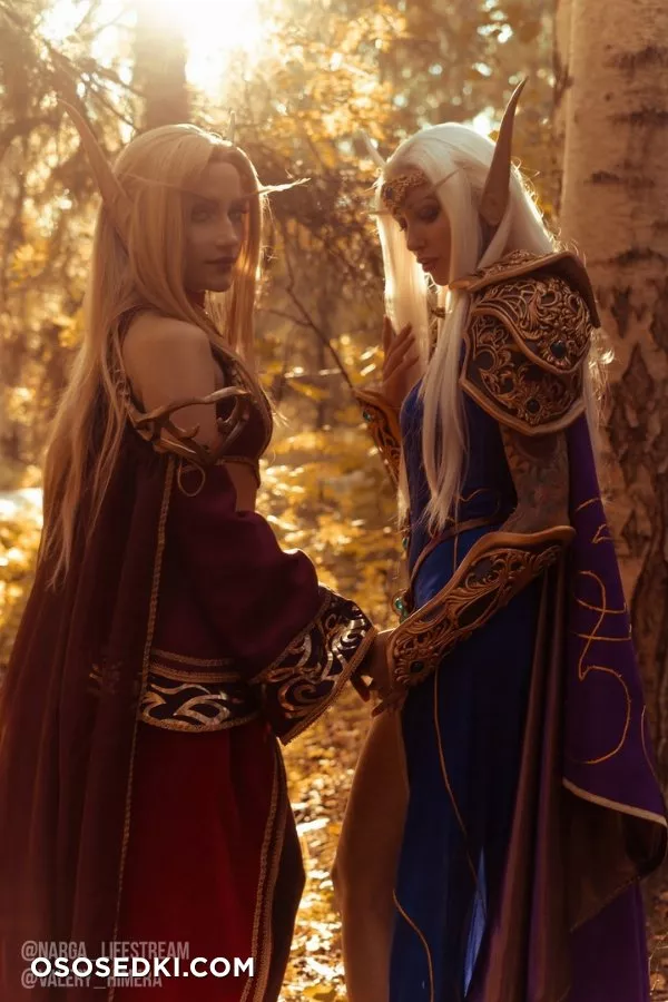 High & Blood Elfs - Warcraft - 2