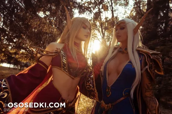 High & Blood Elfs - Warcraft - 5