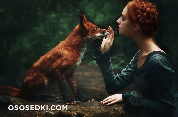 Ph - Alexandra Bochkareva. Foxes - 5