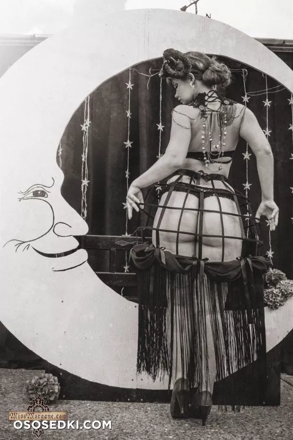 Miss Morgane - Ziggy Stardust - 5