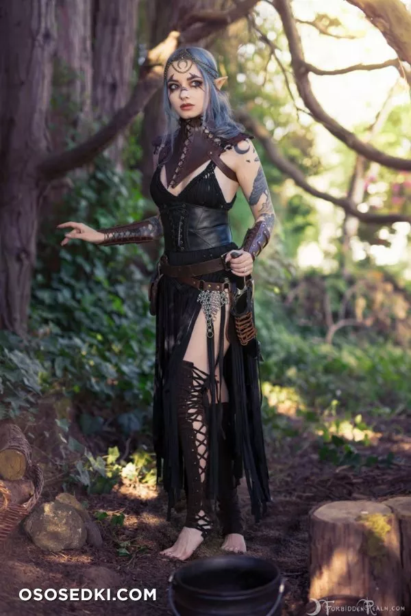 Genevieve. The Mage Of Valenwood - 4