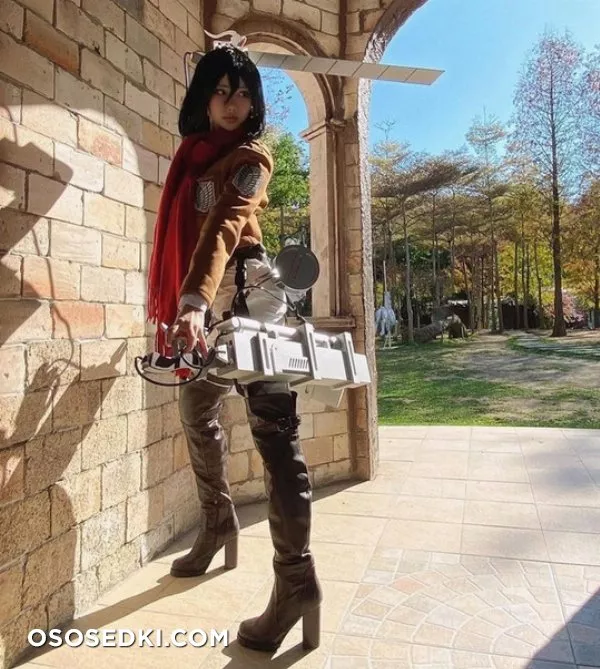 Mikasa Ackerman by Hane Ame - 3