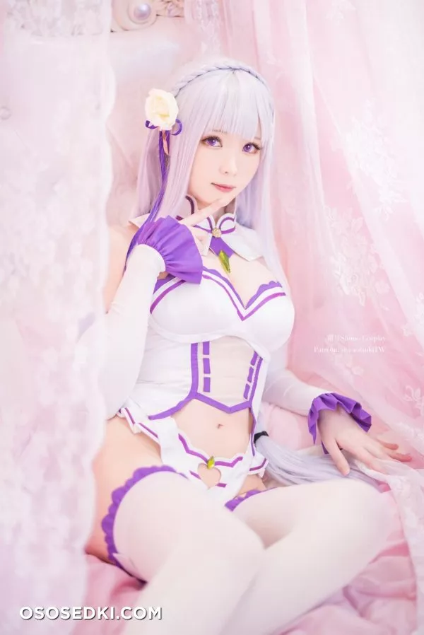 Shimo | Re:Zero | Emilia - 4