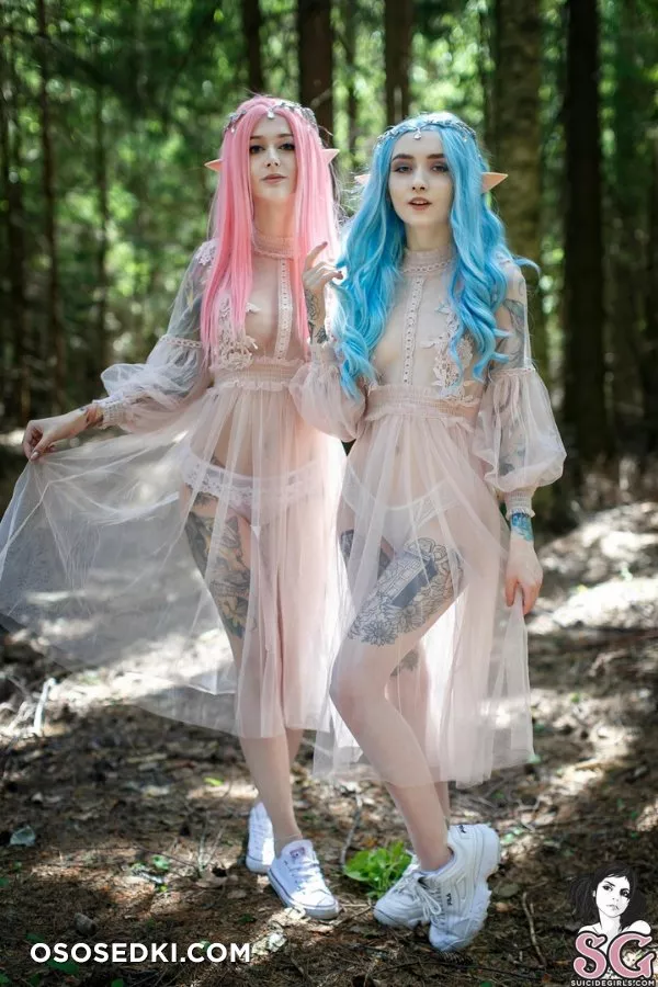 Elven Forest by Purple Bitch & zirael_rem - 1