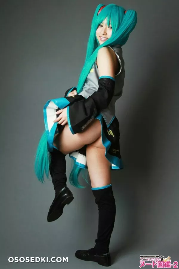 Hatsune Miku  - 4