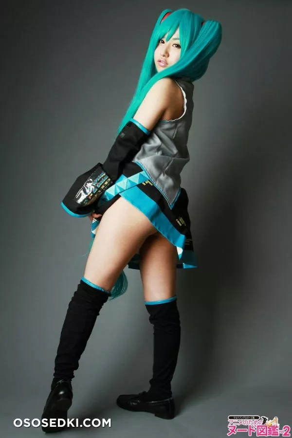 Hatsune Miku  - 5