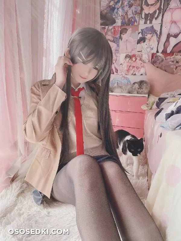 Mai Sakurajima (Seishun ButaYarou WA Bunny Girl Senpai No Yume Wo Minai) Misa呆呆 - 3