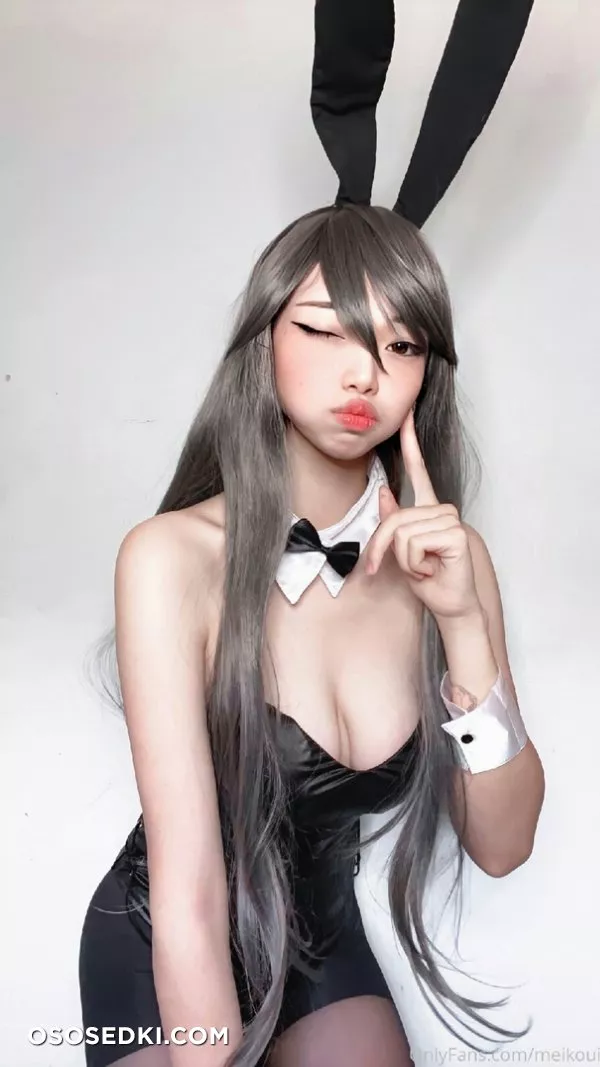 Mai Sakurajima (Seishun ButaYarou WA Bunny Girl Senpai No Yume Wo Minai) Meikoui - 3