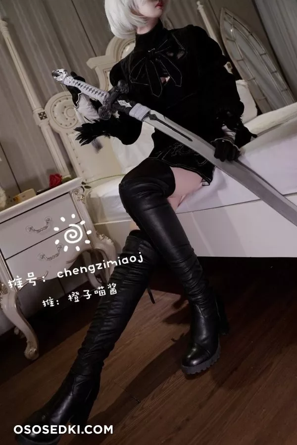 2B (Nier:Automata) - Chengzimiaoj  - 2