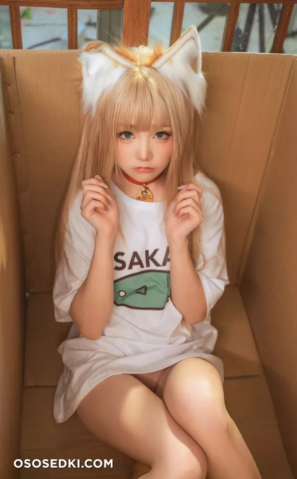 Nekokoyoshi - 3