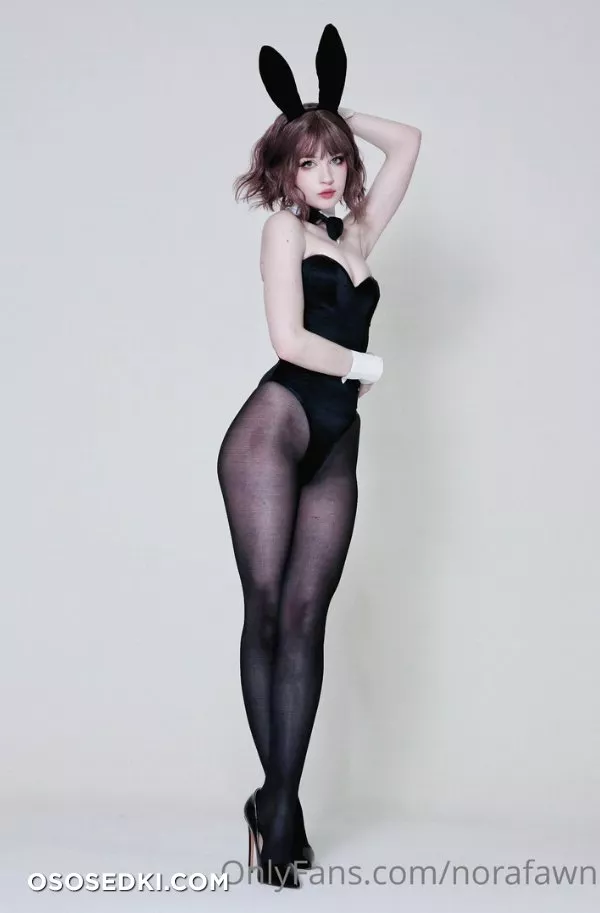 Norafawn - Birthday Bunny - 4
