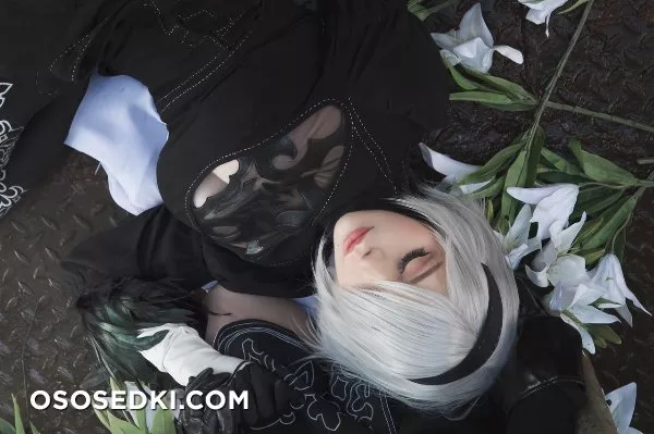 Saya the Fox. Sai Westwood. 2B. A2. Nier Automata - 5