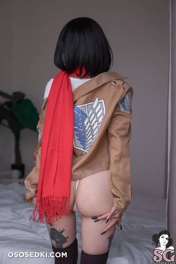 Mikasa Ackerman by bloodlustsavagery - 4