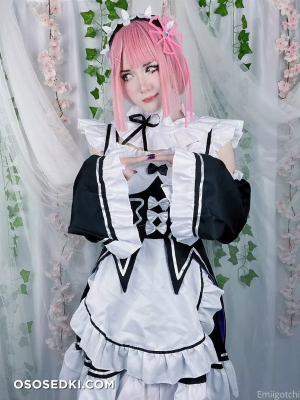 Emiigotchi - Ram - 4