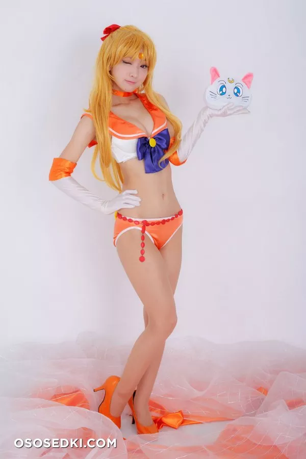 Rosiel Romance | Sailor Moon | Sailor Venus - 5
