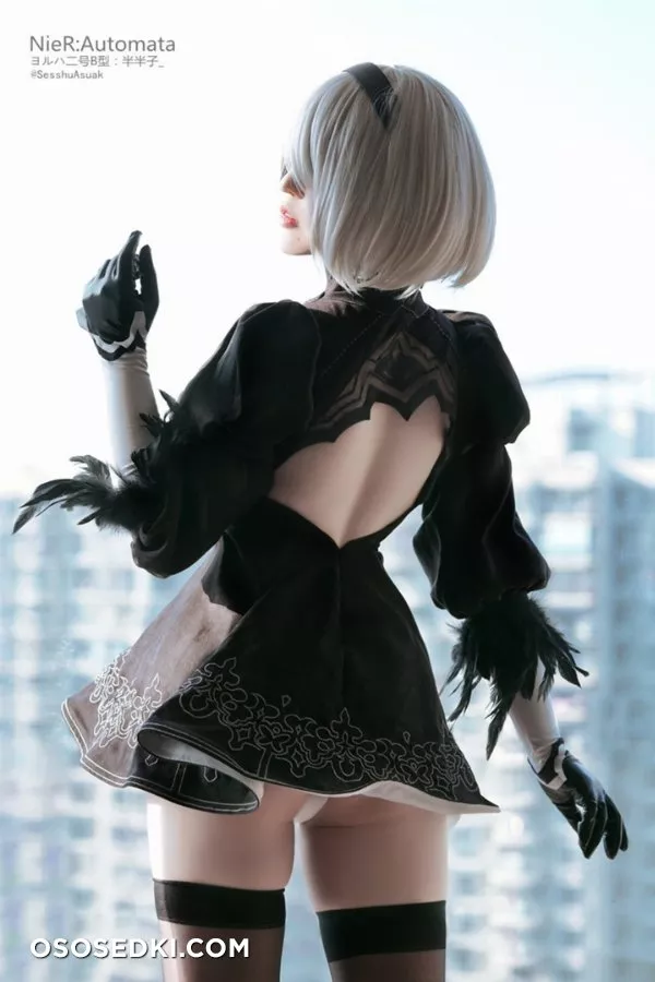 SesshuAsuak (半半子) | Nier: Automata | 2B - 3