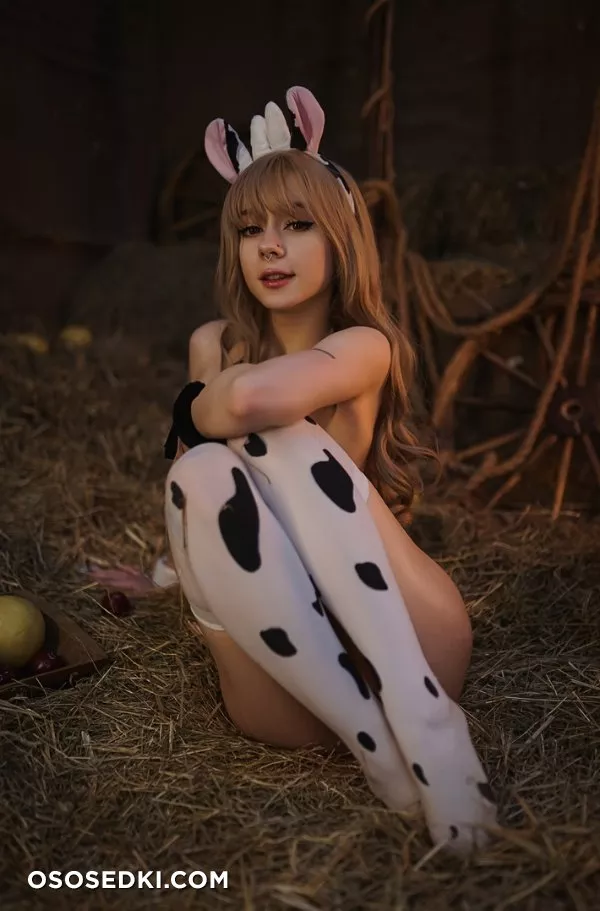 Pixie - Cow - 2