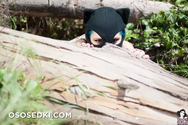 Euphemia - Cat Burglar - 2